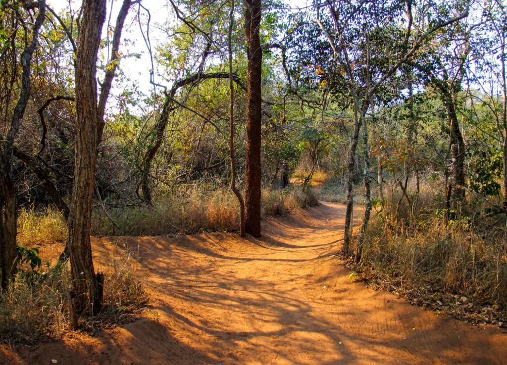 Umkhumbi Lodge Hluhluwe Eksteriør bilde